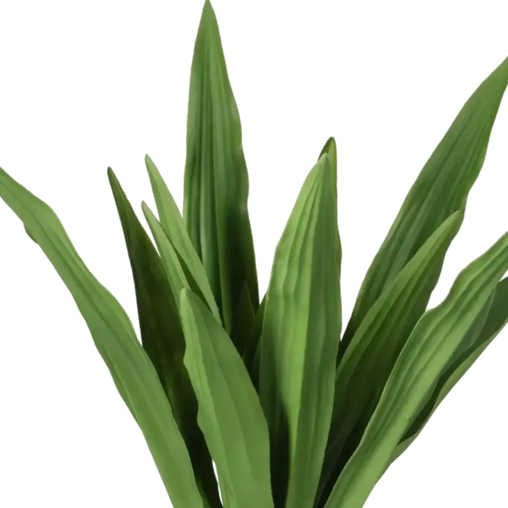 Closeup af Kunstig Yucca Elefant palme H: 70 cm.