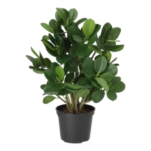 Kunstig Ficus Panda H: 30 cm.
