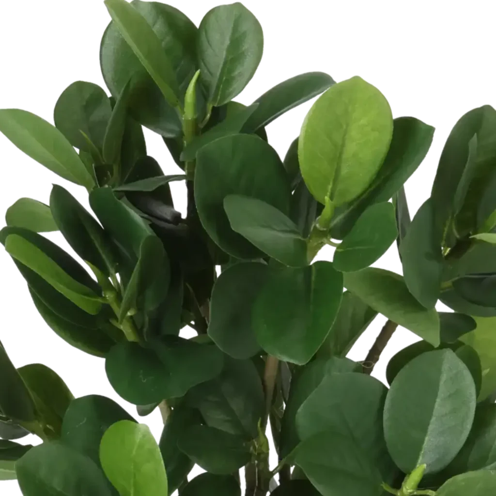 Closeup af Kunstig Ficus Panda H: 30 cm.
