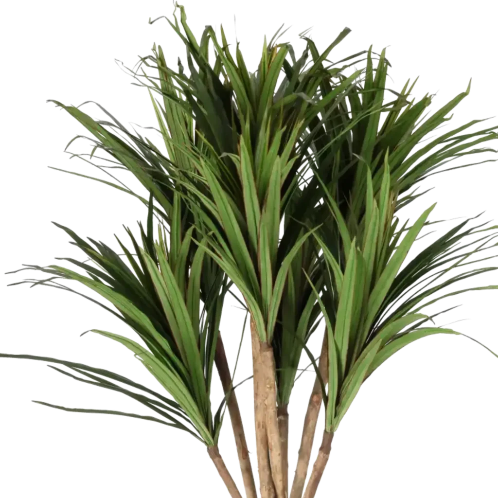 Closeup af Kunstig Dracena H: 160 cm.