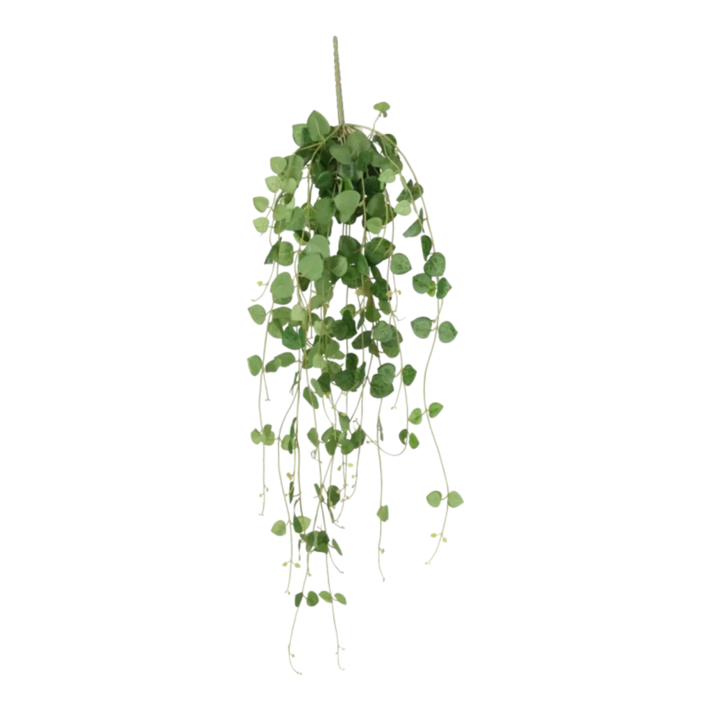 Kunstig hjerteranke lys grøn - L: 50 cm.