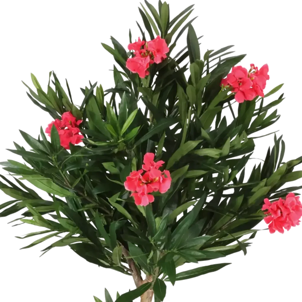 Closeup af Kunstig Oleander Nerie H: 150 cm.