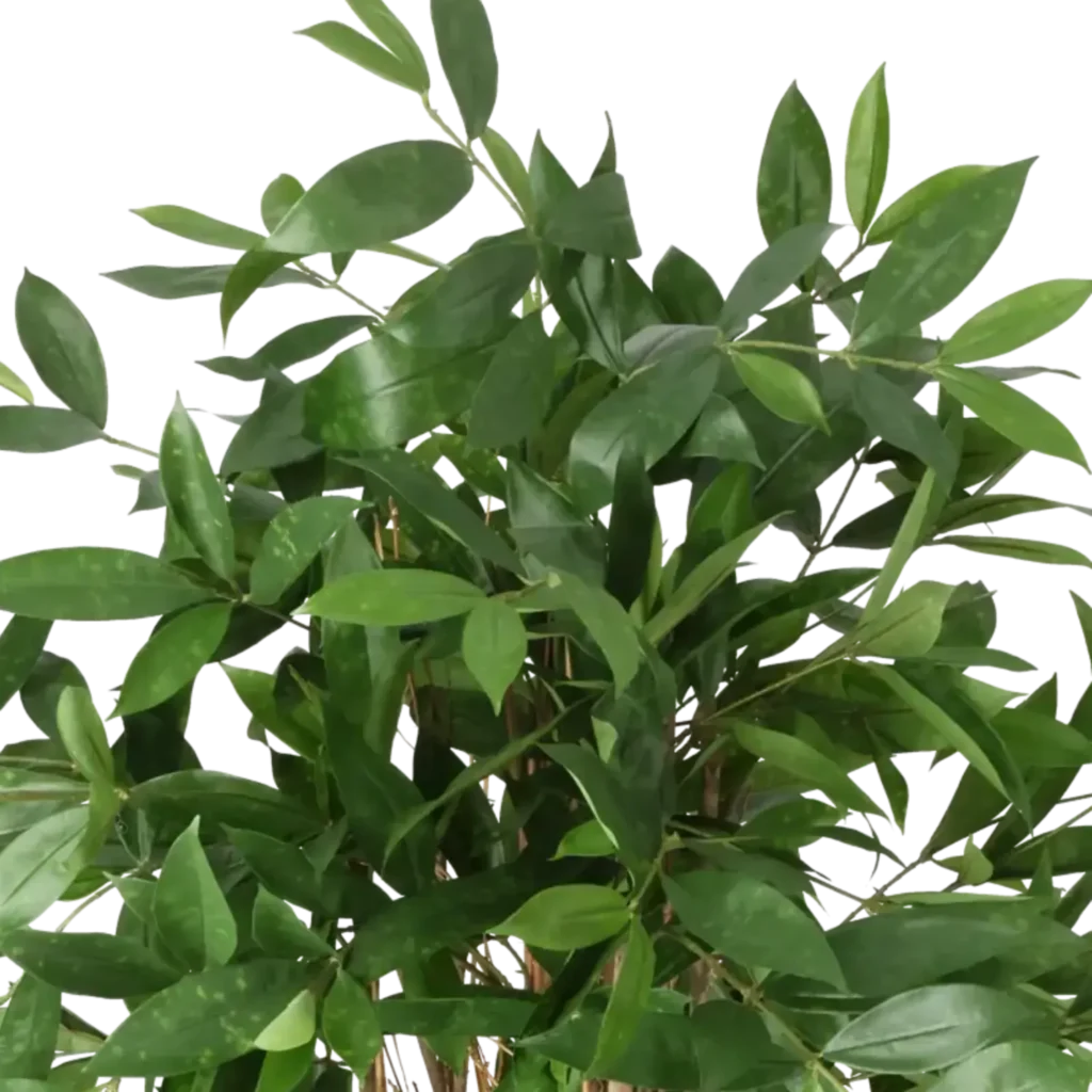 Closeup af Kunstig Dracaena Surculosa H: 120 cm.