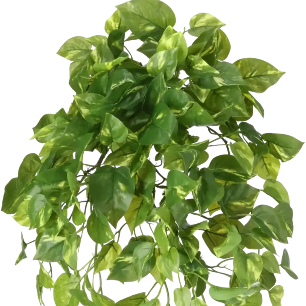 Closeup af Kunstig Pothos hængeplante L: 85 cm.