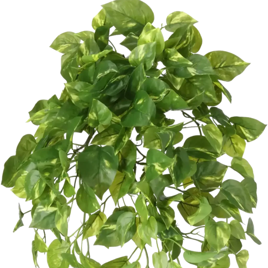 Closeup af Kunstig Pothos hængeplante L: 85 cm.