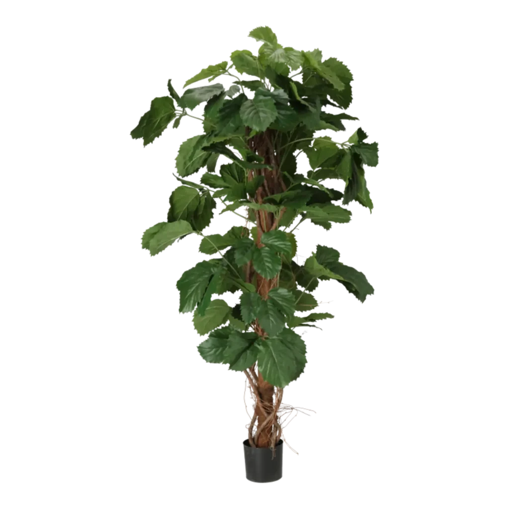 Kunstig Tetrastigma H: 160 cm.