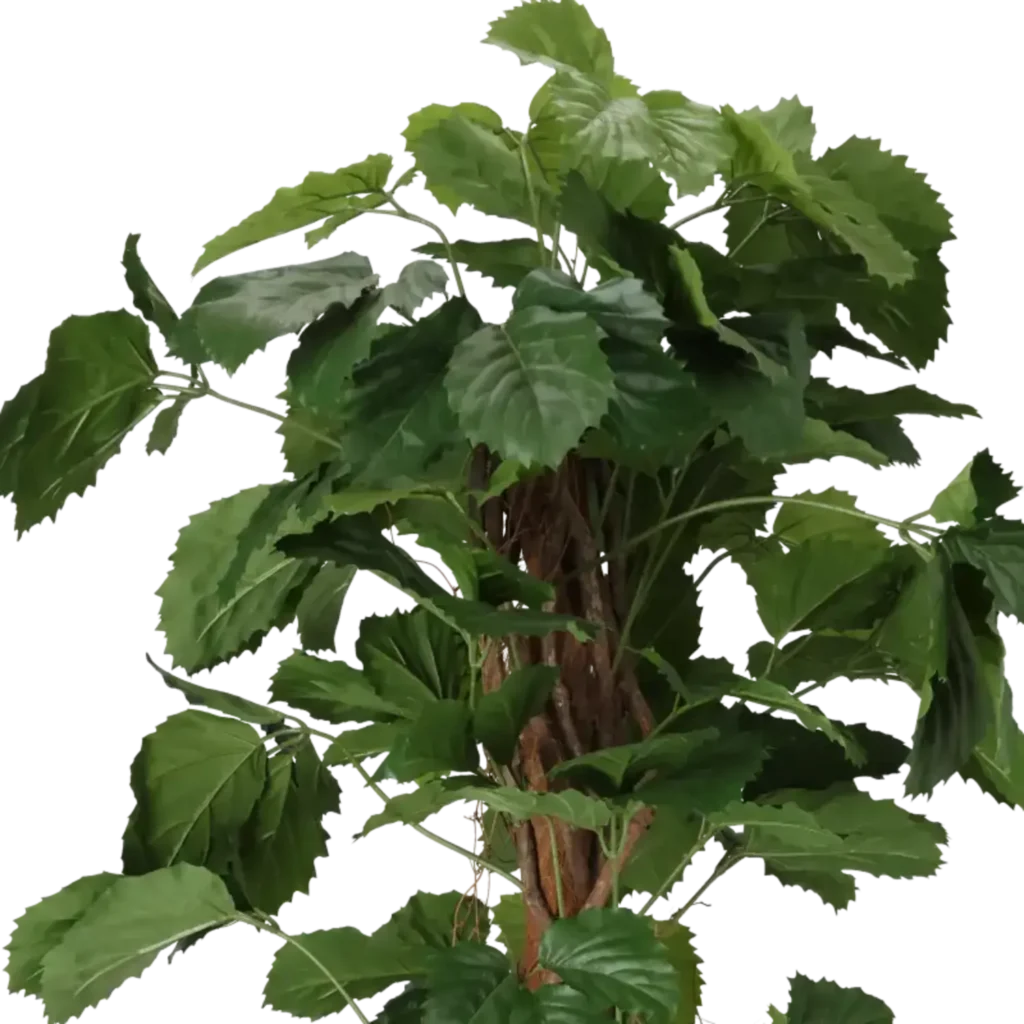 Closeup af Kunstig Tetrastigma H: 160 cm.