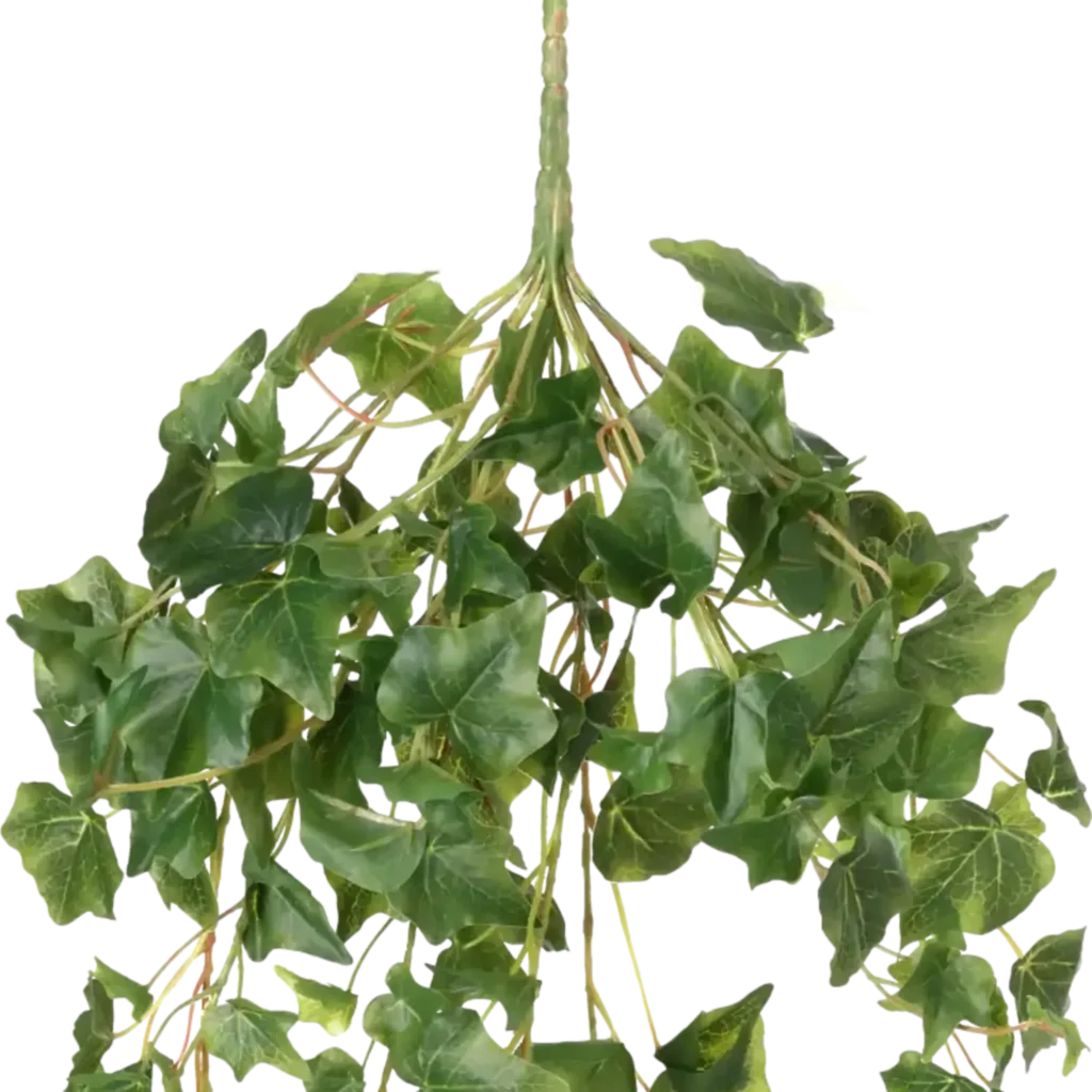 Closeup af Kunstig efeu hængeplante - L: 70 cm.