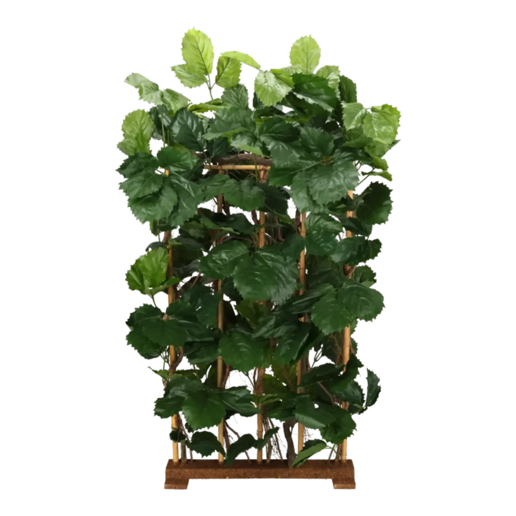 Kunstig Tetrastigma hæk H: 170 cm.