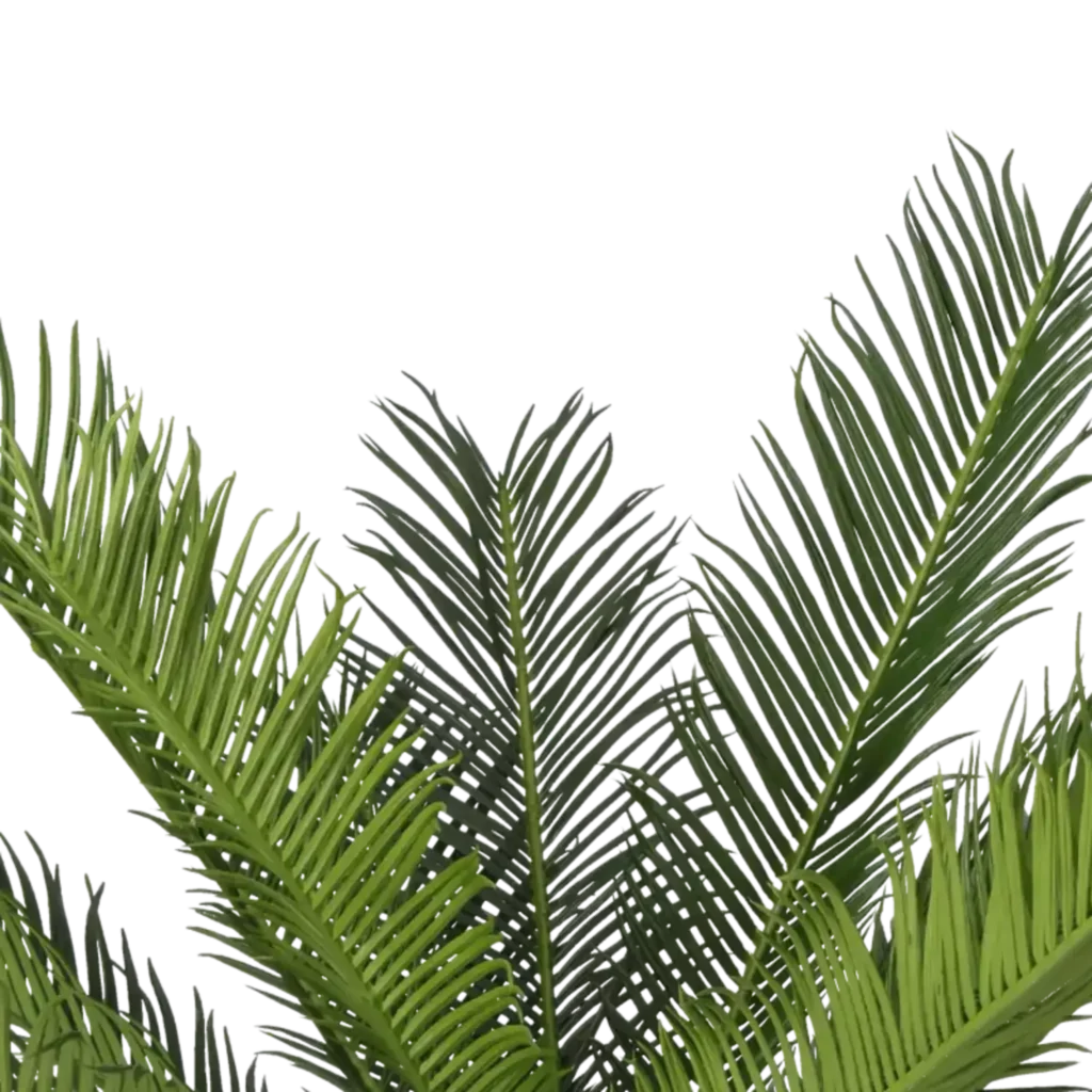 Closeup af Kunstig Cycas palme H: 65 cm.