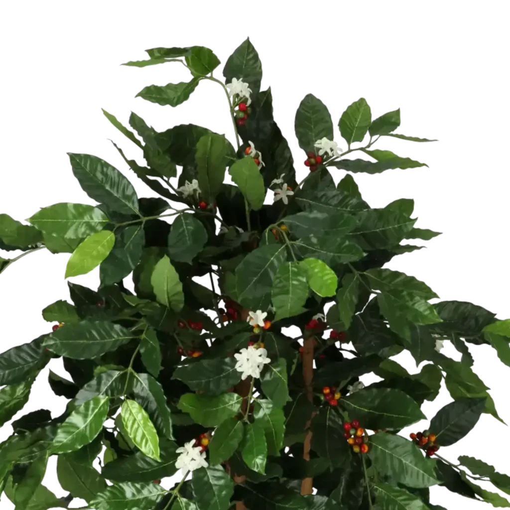 Closeup af Kunstig Kaffetræ m. blomst H: 140 cm.