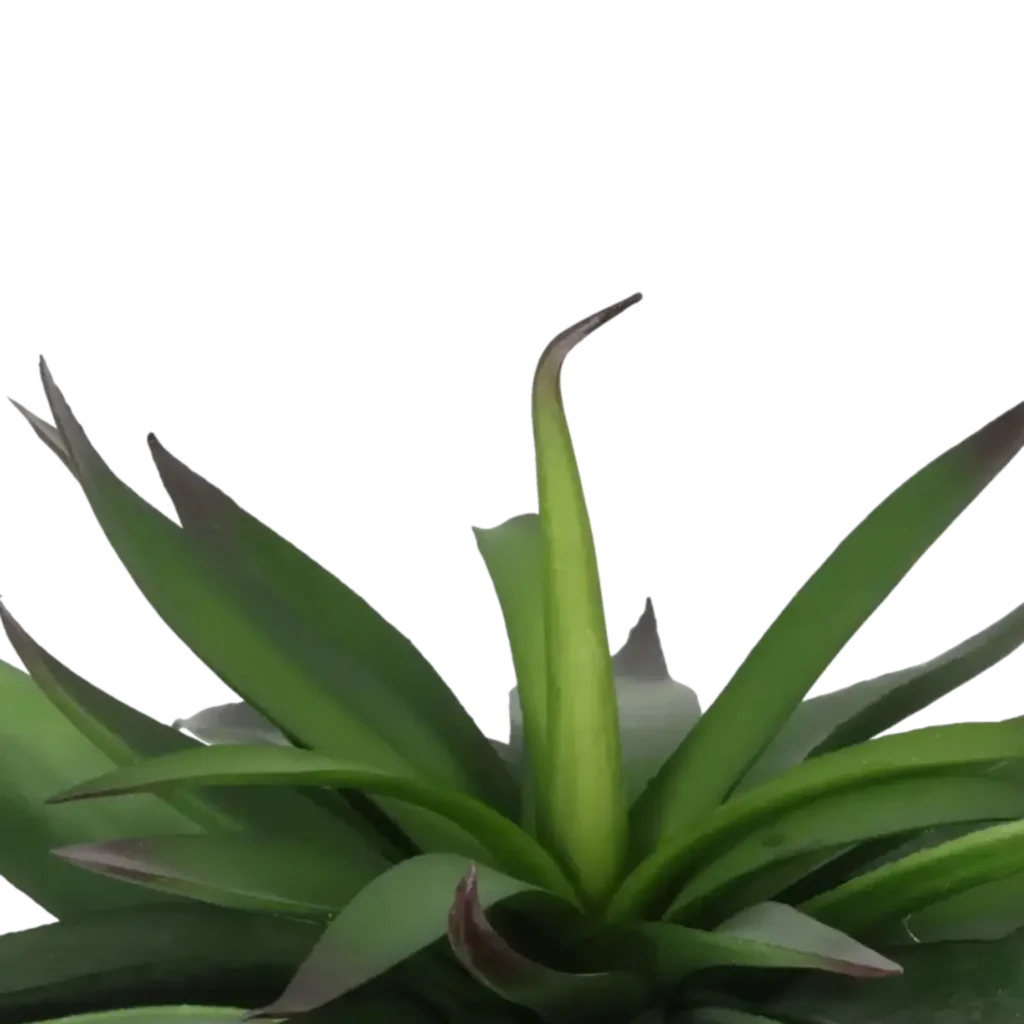 Closeup af Kunstig Agave H: 20 cm.
