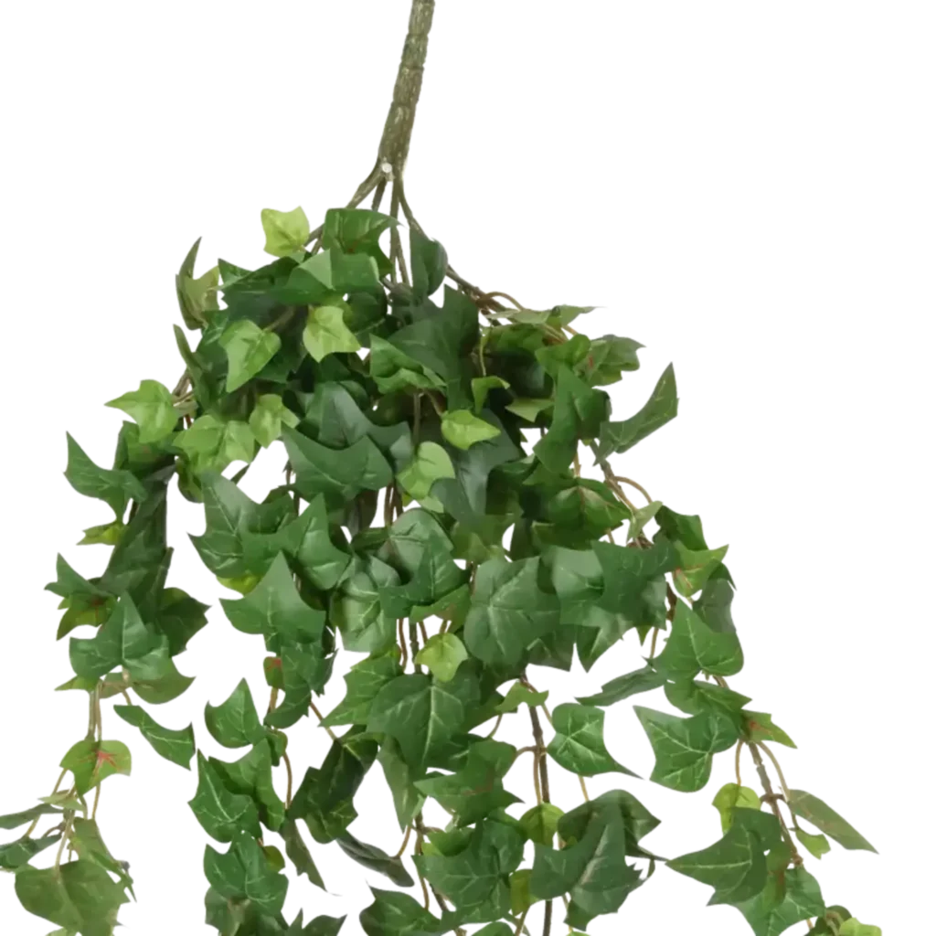 Closeup af Kunstig efeu hængebusk - L: 70 cm.