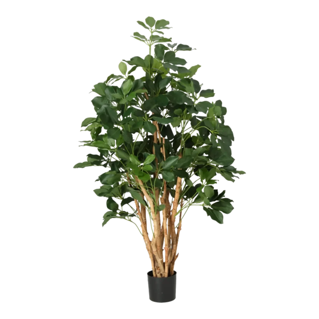 Kunstig Schefflera Exotica H: 120 cm.