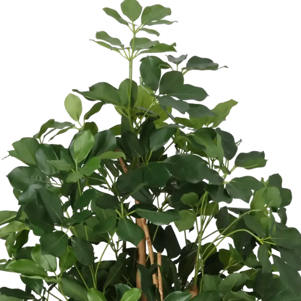 Closeup af Kunstig Schefflera Exotica H: 120 cm.