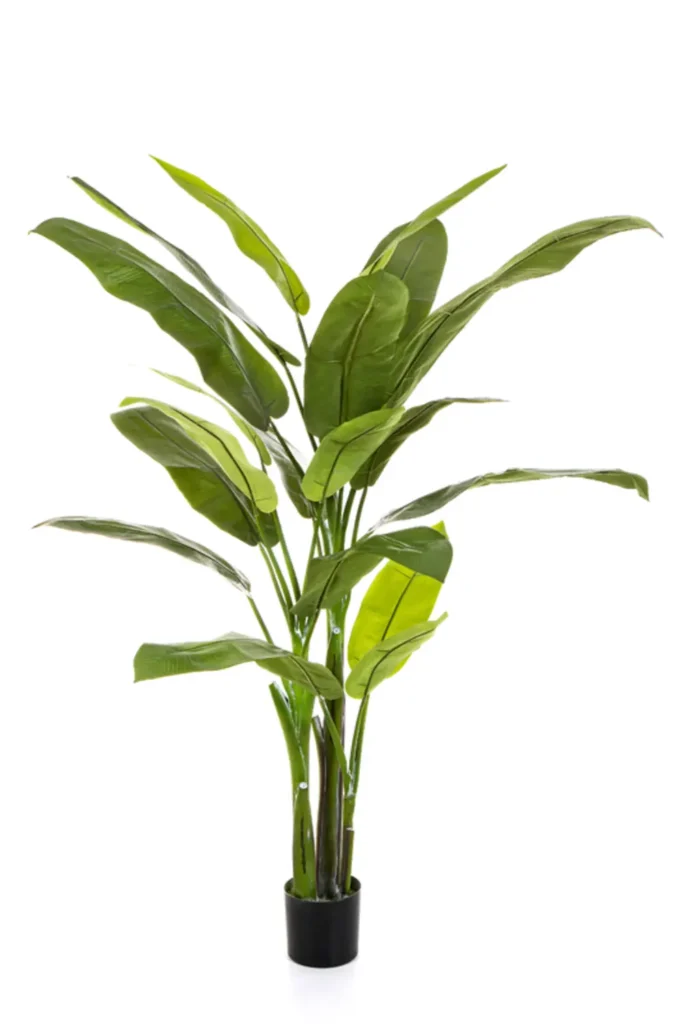 Kunstig Heliconia H: 170 cm.