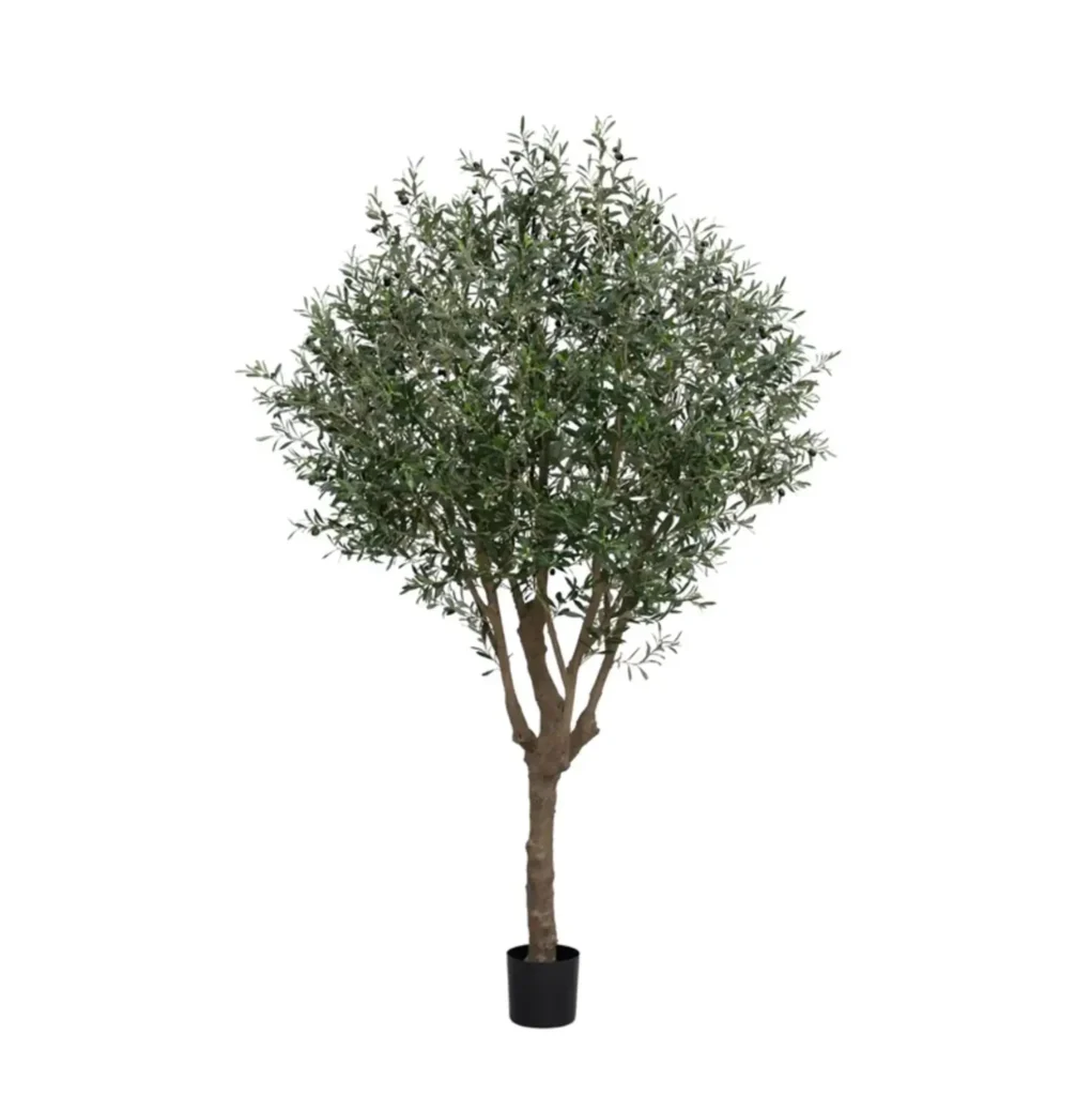 Kunstig Oliventræ H: 250 cm.