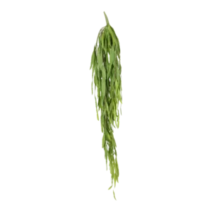 Kunstig Sukkulent L: 122 cm.
