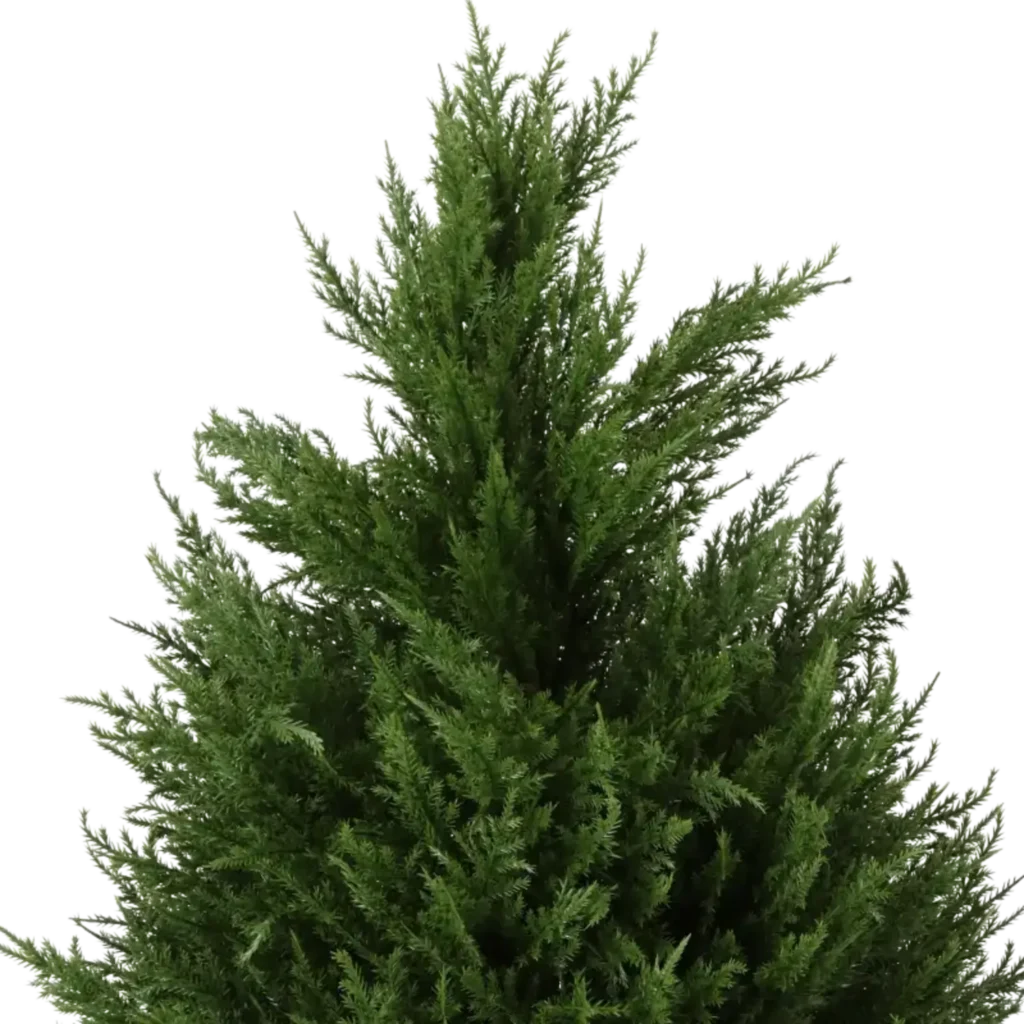 Closeup af Kunstig cypress kegletræ H: 110 cm.