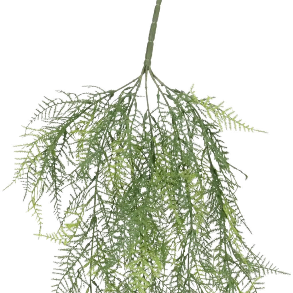 Closeup af Kunstig asparagus hængeplante - L: 75 cm.