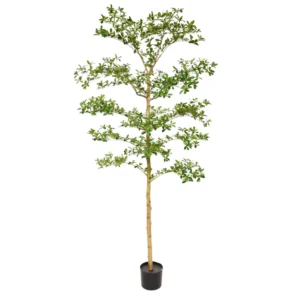 Kunstig Bucida Buceras træ - H: 210 cm.