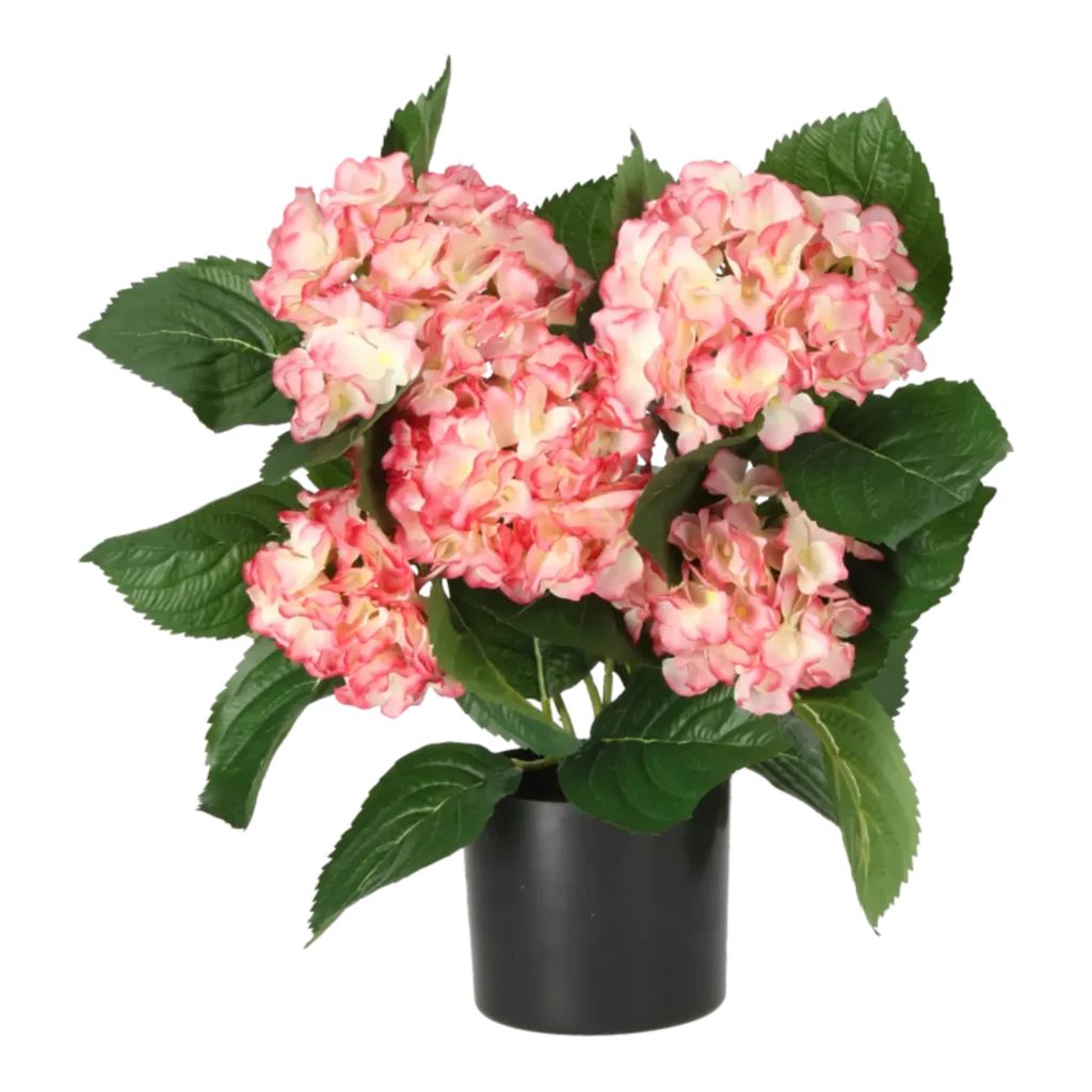 Kunstig hortensia i hvid/rosa - H: 40 cm.