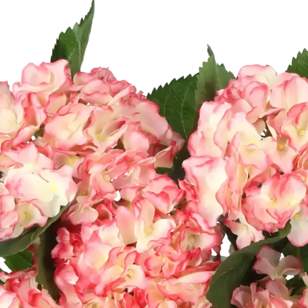 Closeup af Kunstig hortensia i hvid/rosa - H: 40 cm.