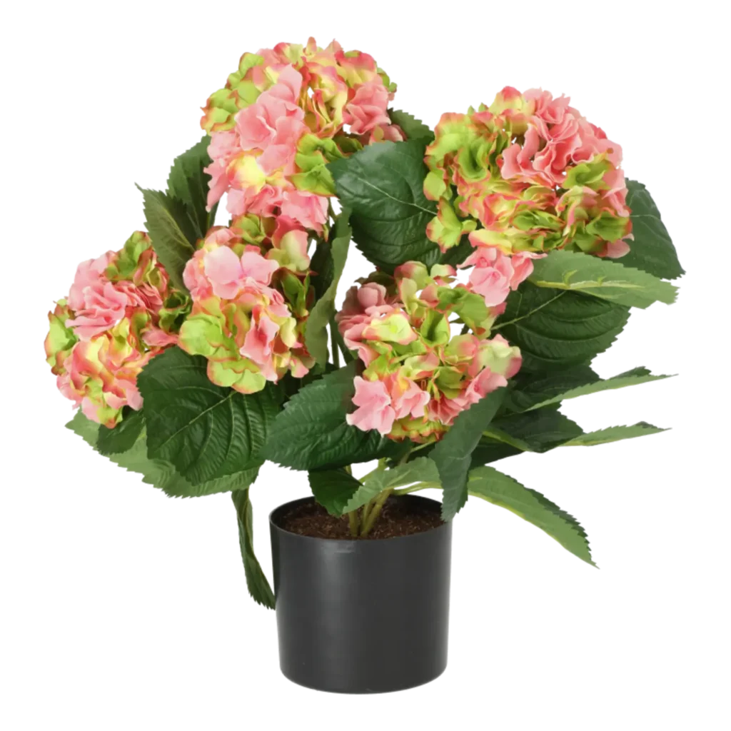 Kunstig hortensia rosa/lime H: 40 cm.