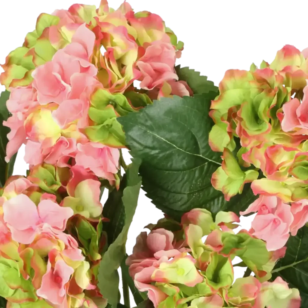 Closeup af Kunstig hortensia rosa/lime H: 40 cm.