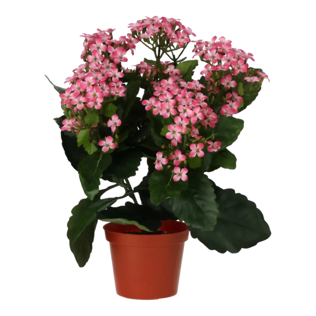 Kunstig Kalanchoe rosa - H: 30 cm.