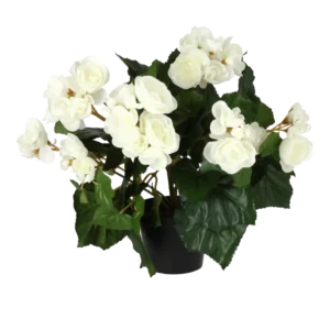Kunstig begonia hvid - H: 30 cm.