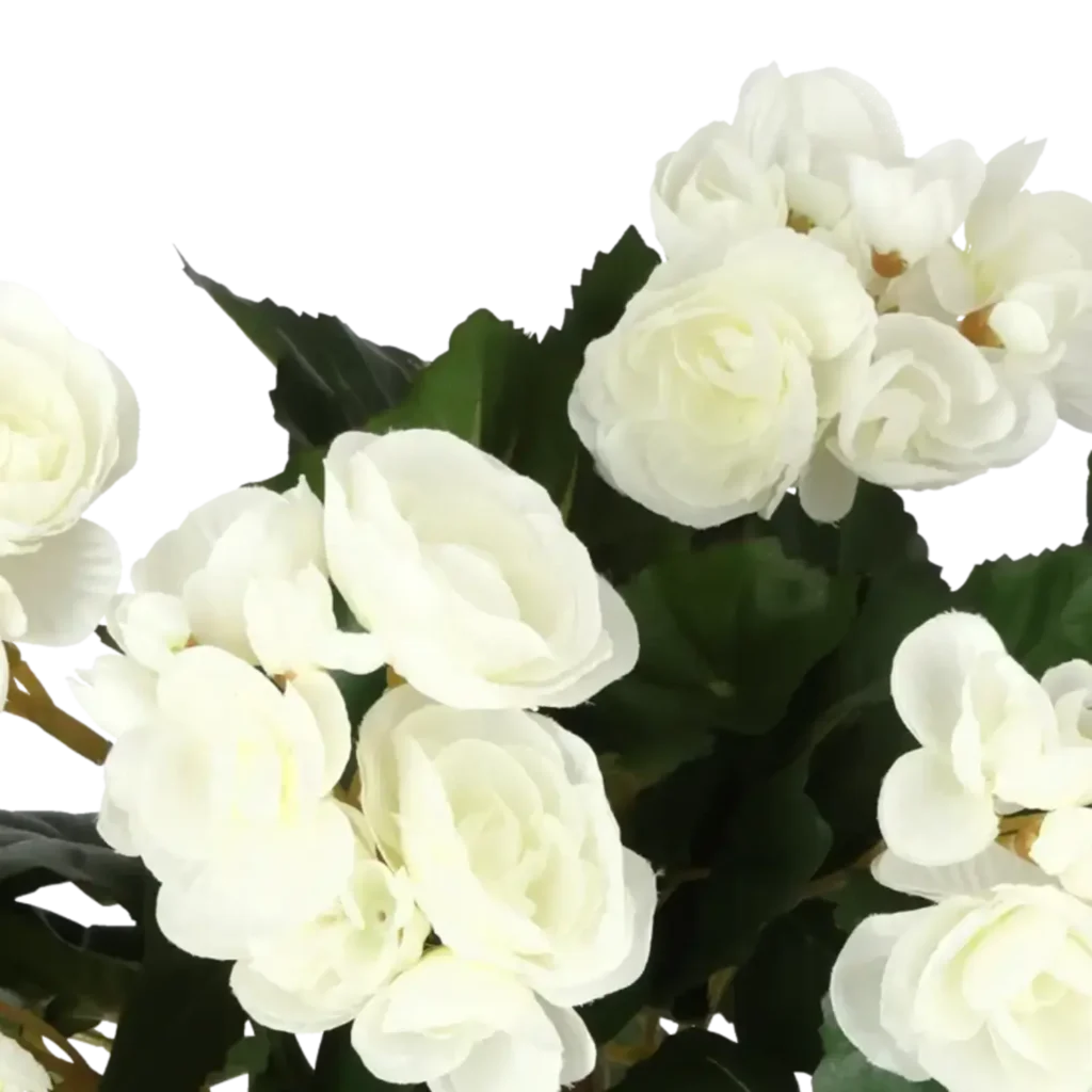 Closeup af Kunstig begonia hvid H: 30 cm.