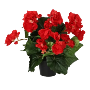 Kunstig begonia i rød - H: 30 cm.