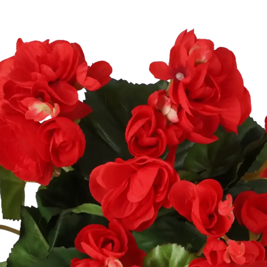 Closeup af Kunstig begonia i rød H: 30 cm.