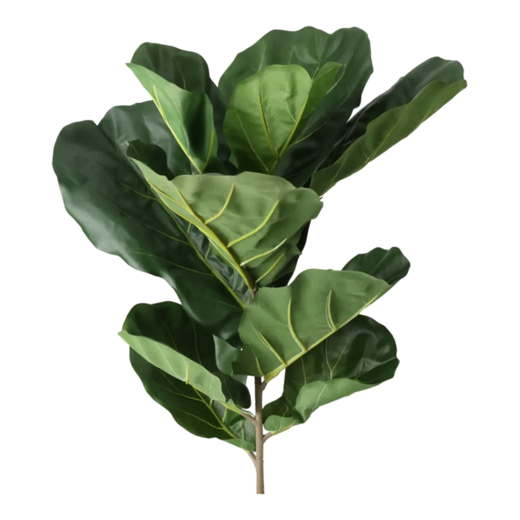 Kunstig Violinfigen gren L: 77 cm.