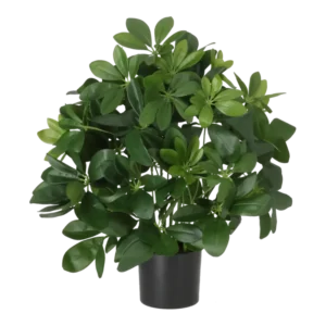 Kunstig Schefflera H: 45 cm.