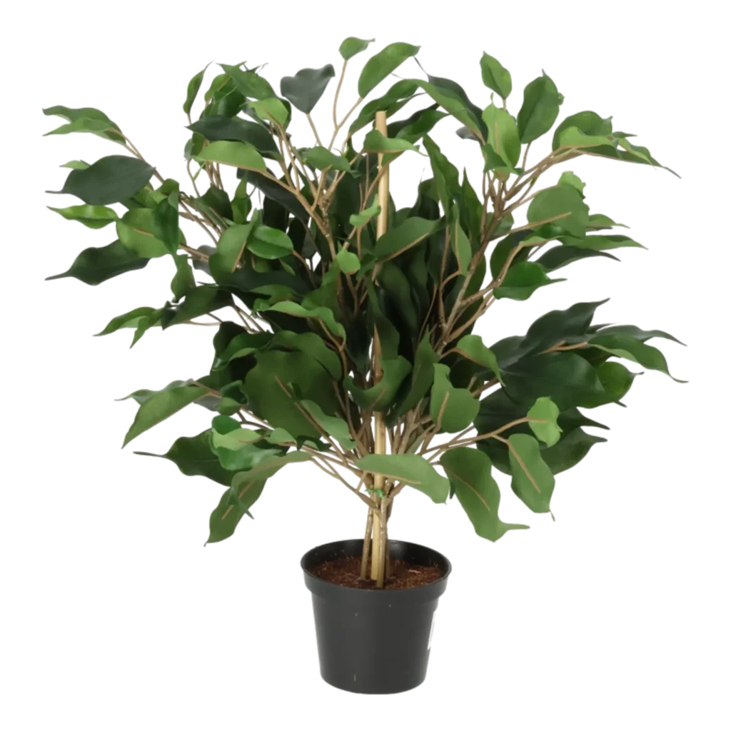 Kunstig Ficus H: 40 cm.