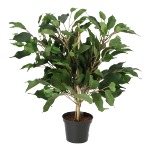 Kunstig Ficus H: 40 cm.