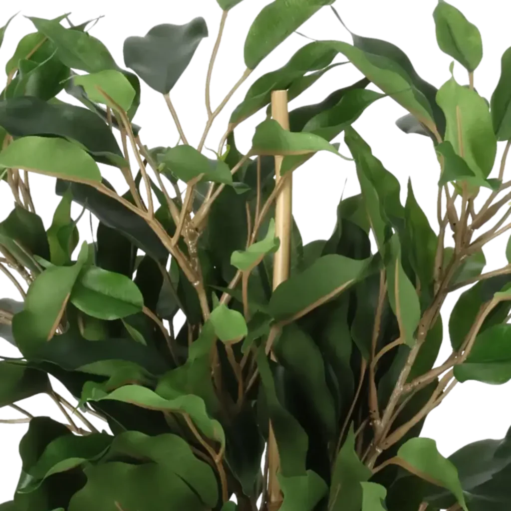 Closeup af Kunstig Ficus H: 40 cm.