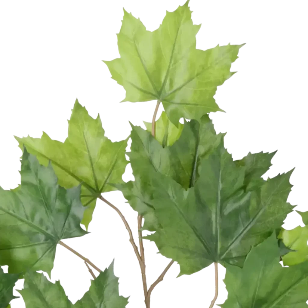 Closeup af Kunstig ahorn gren grøn L: 60 cm.