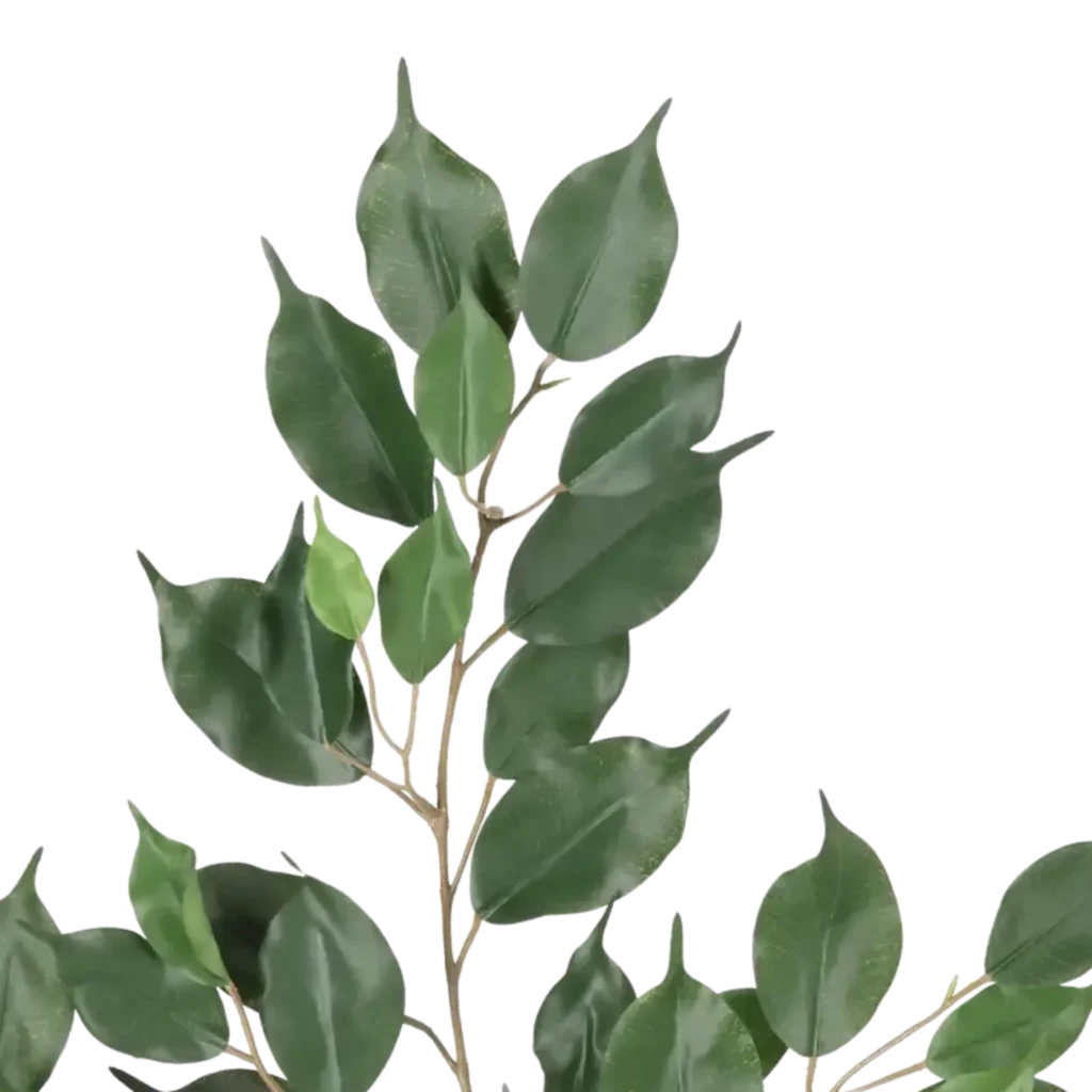 Closeup af Kunstig Ficus Exotic stilk FR - L: 75 cm.