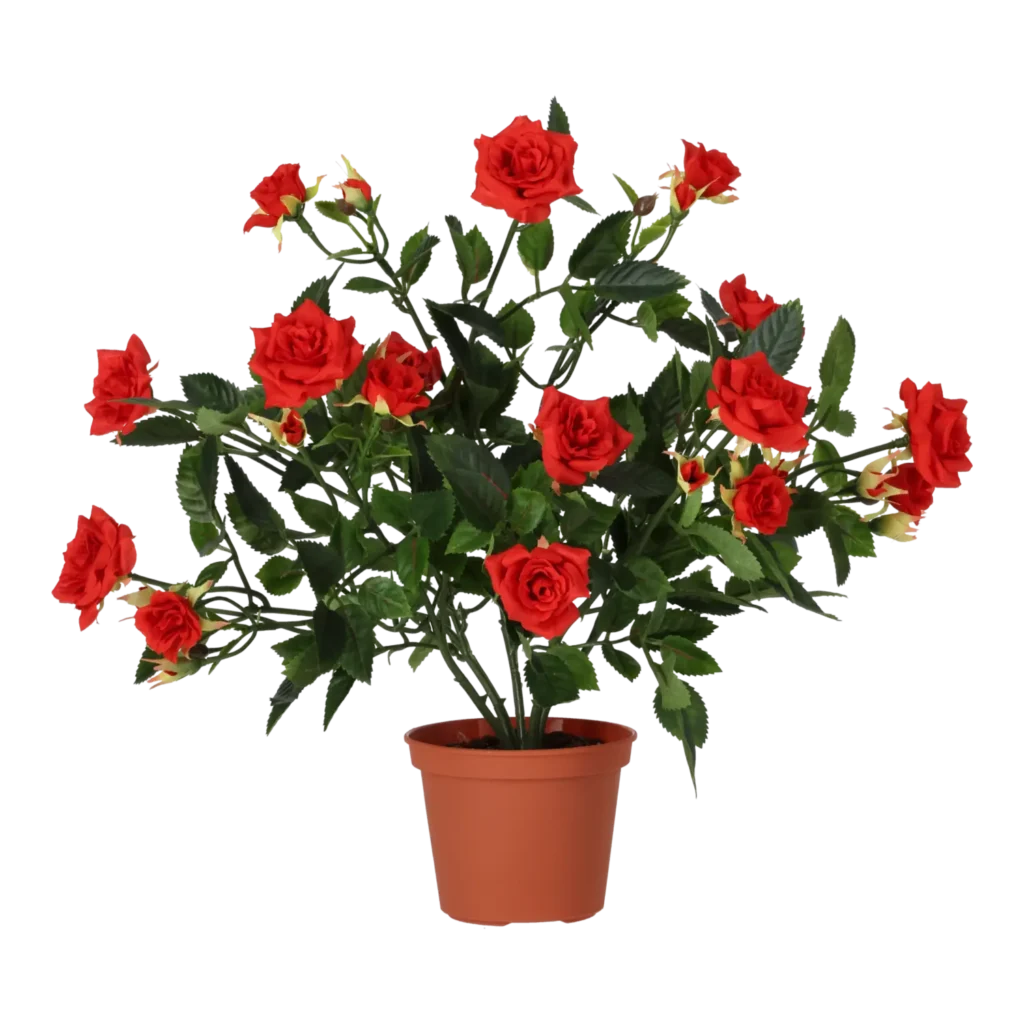 Kunstig mini rose busk rød - H: 33 cm.