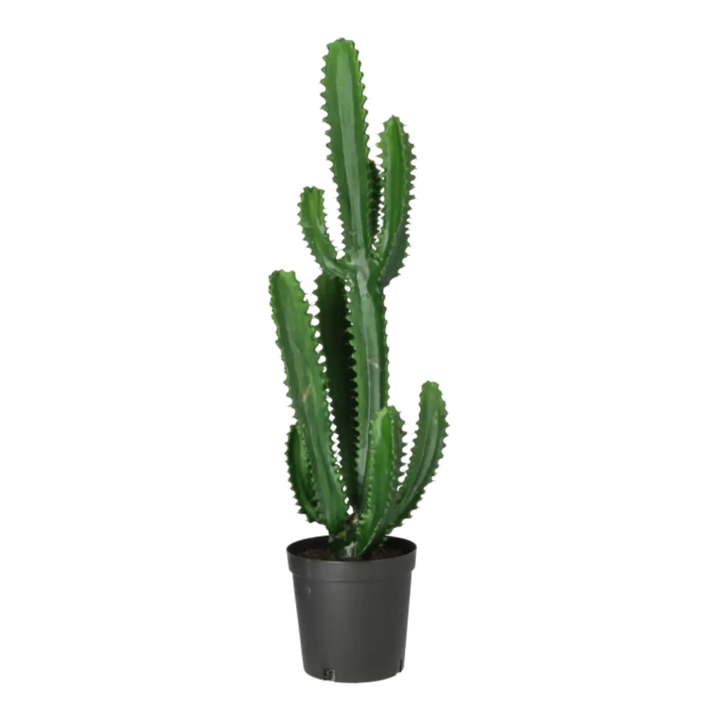 Kunstig Finger Kaktus H: 98 cm.