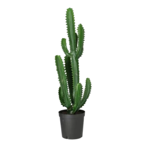 Kunstig Finger Kaktus H: 98 cm.