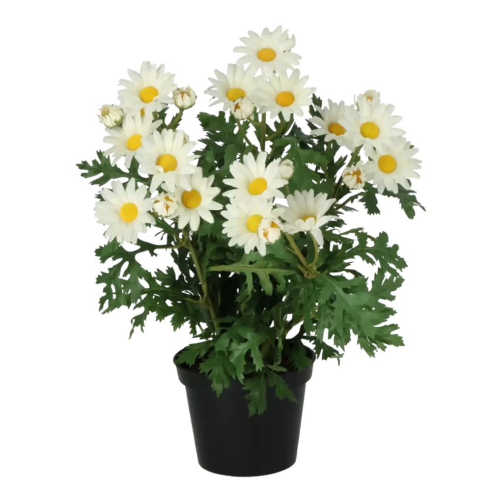 Kunstig marguerit hvid - H: 35 cm.
