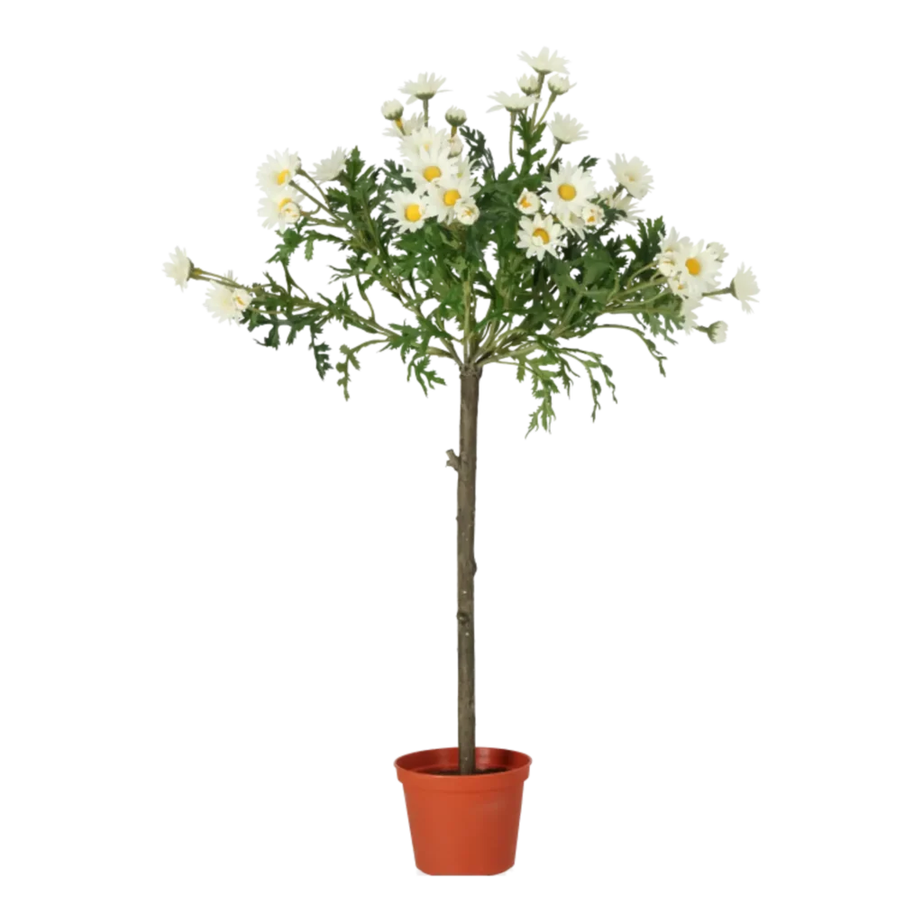 Kunstig Marguerit opstammet H: 60 cm.
