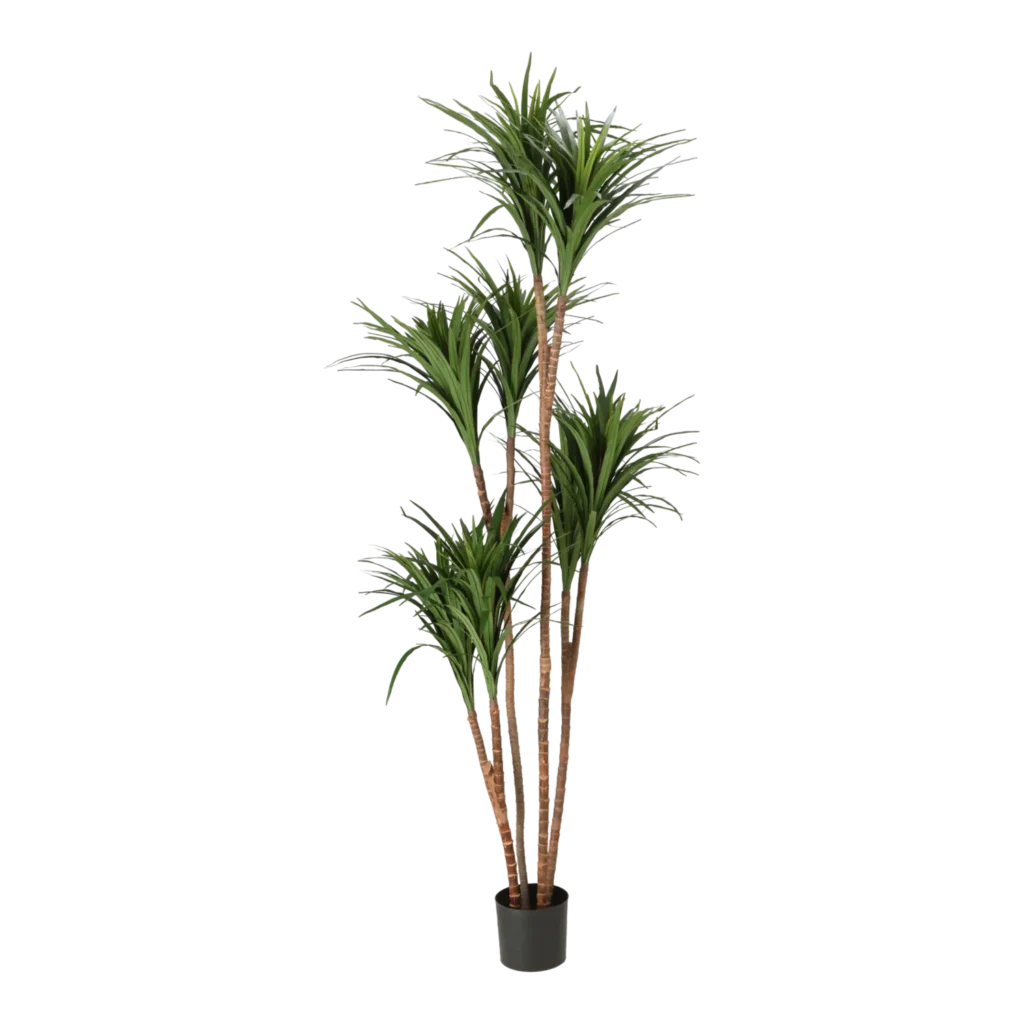 Kunstig Dracaena H: 180 cm.