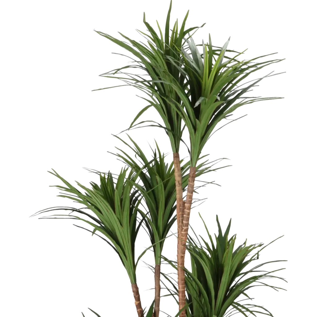 Closeup af Kunstig Dracaena H: 180 cm.
