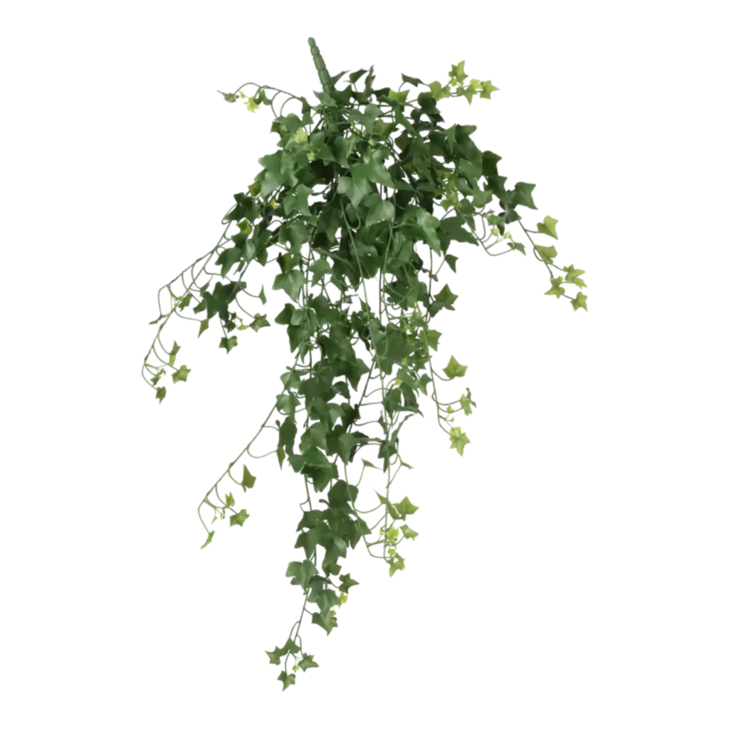 Kunstig Efeu hængeplante L: 100 cm.