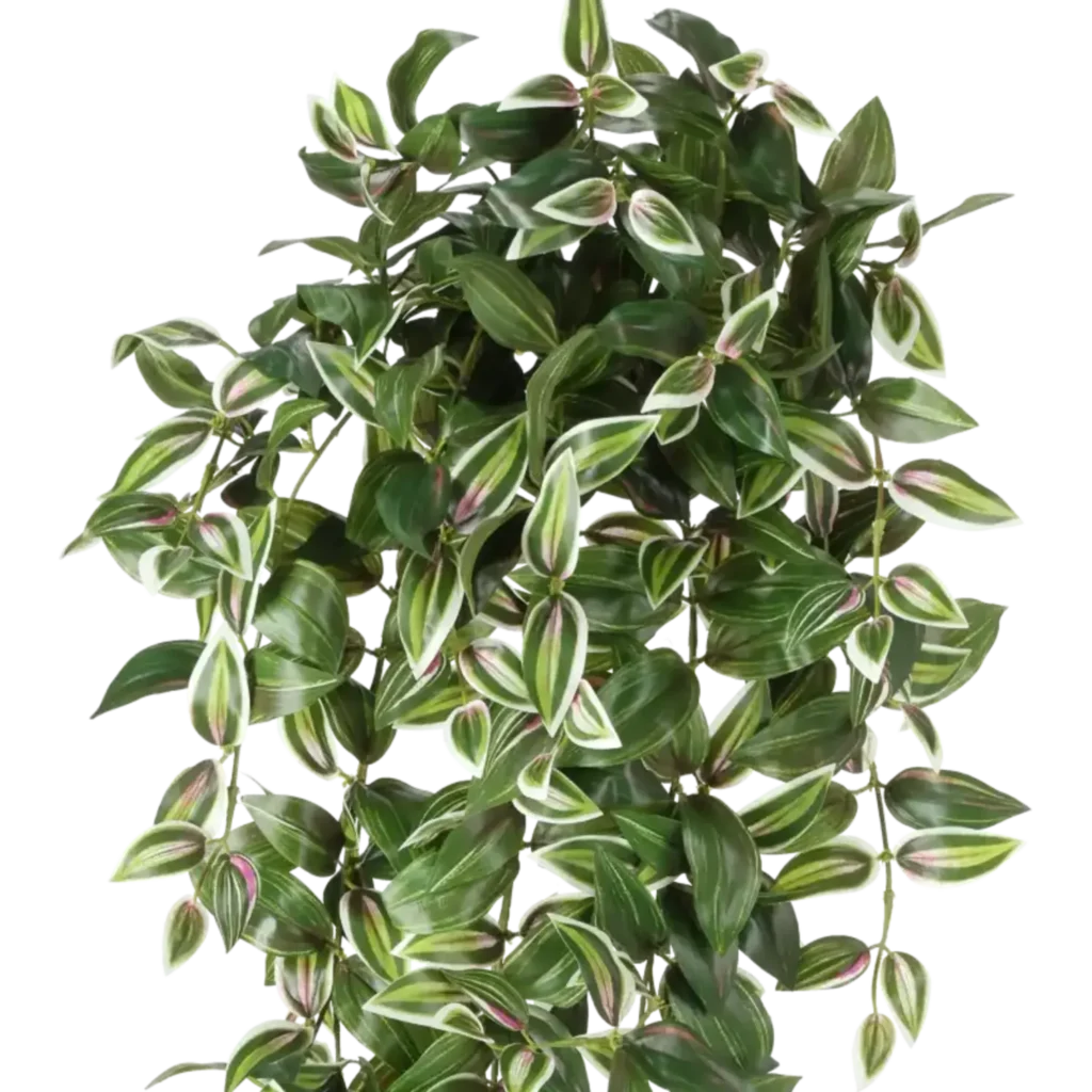 Closeup af Kunstig Tradescantia hængeplante H: 100 cm.